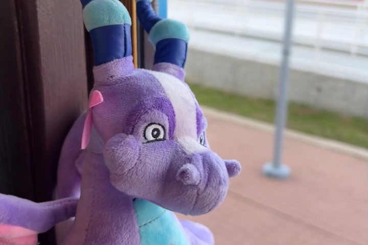 a person holding a stuffed animal