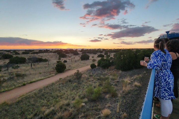 a person standing in a field