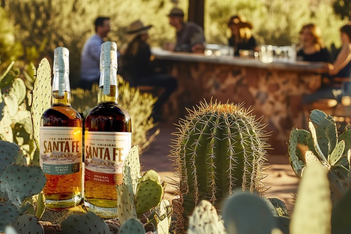 Two liquor bottles among cacti, with people dining in the background.